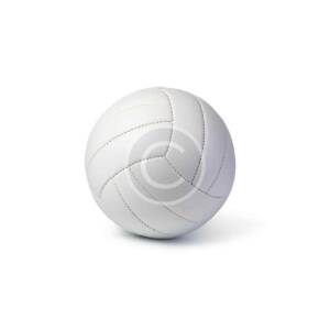 Exercise ball